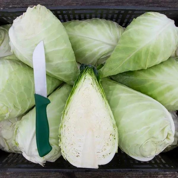 High Mowing Caraflex F1 Cabbage 10 Seeds