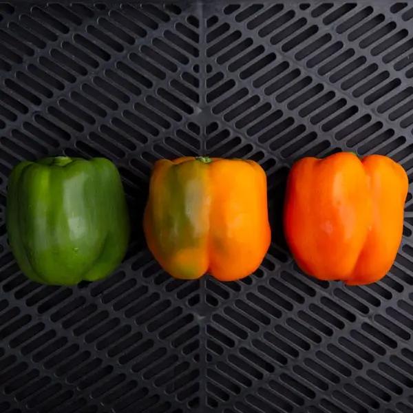 High Mowing Cubo Orange Sweet Pepper 10 Seeds