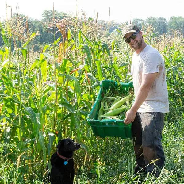 High Mowing Who Gets Kissed Sweet Corn 1/2oz