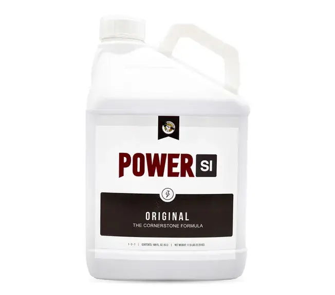 PowerSi Original Silicic Acid 5L