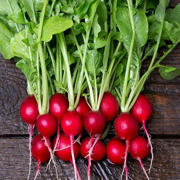 High Mowing Organic Seeds Cherry Belle Radish