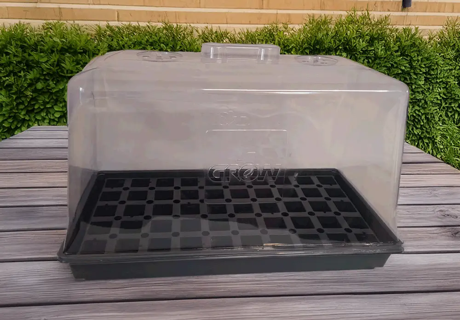 plastic dome for plants Propagation Kit Tall