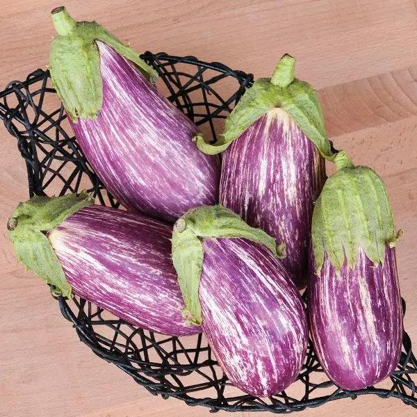 High Mowing Listada de Gandia Eggplant 1/64oz