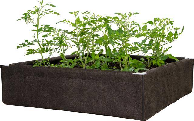 Dirt Pot Box  Raised Bed